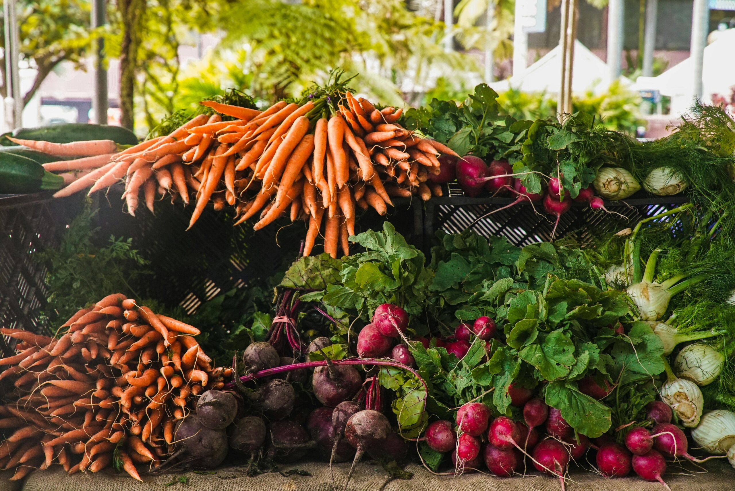 The Joy of Eating: A Playful Guide to a Balanced Diet